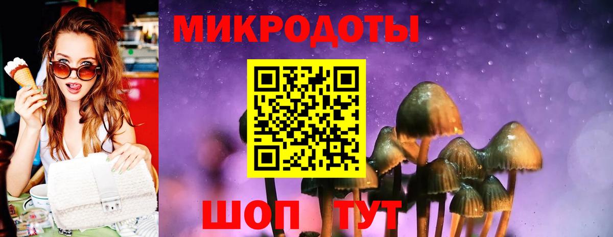 Псилоцибиновые грибы Magic Shrooms  Вход с VPN  Псилоцибиновые грибы Cubensis  Фрязино 